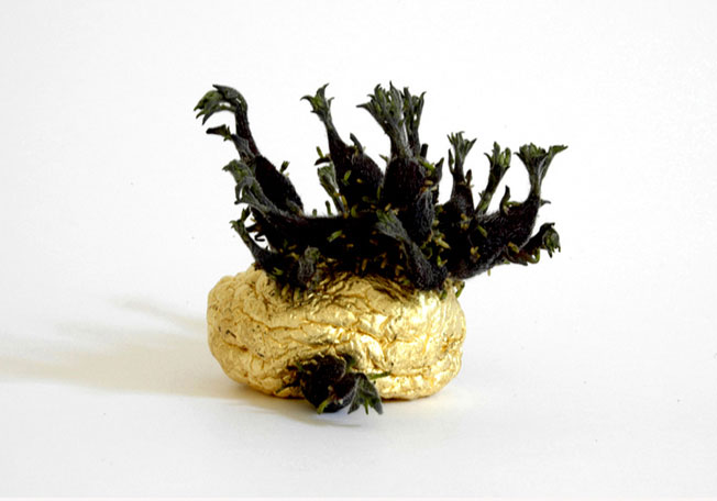 Stephanie Kratz :: 3D :: Goldene Kartoffel 1/3